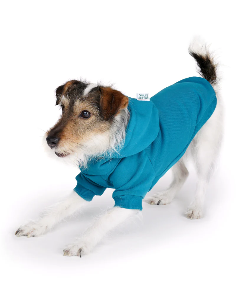 Dog Hoodie in Teal (CLEARANCE) - Image 9