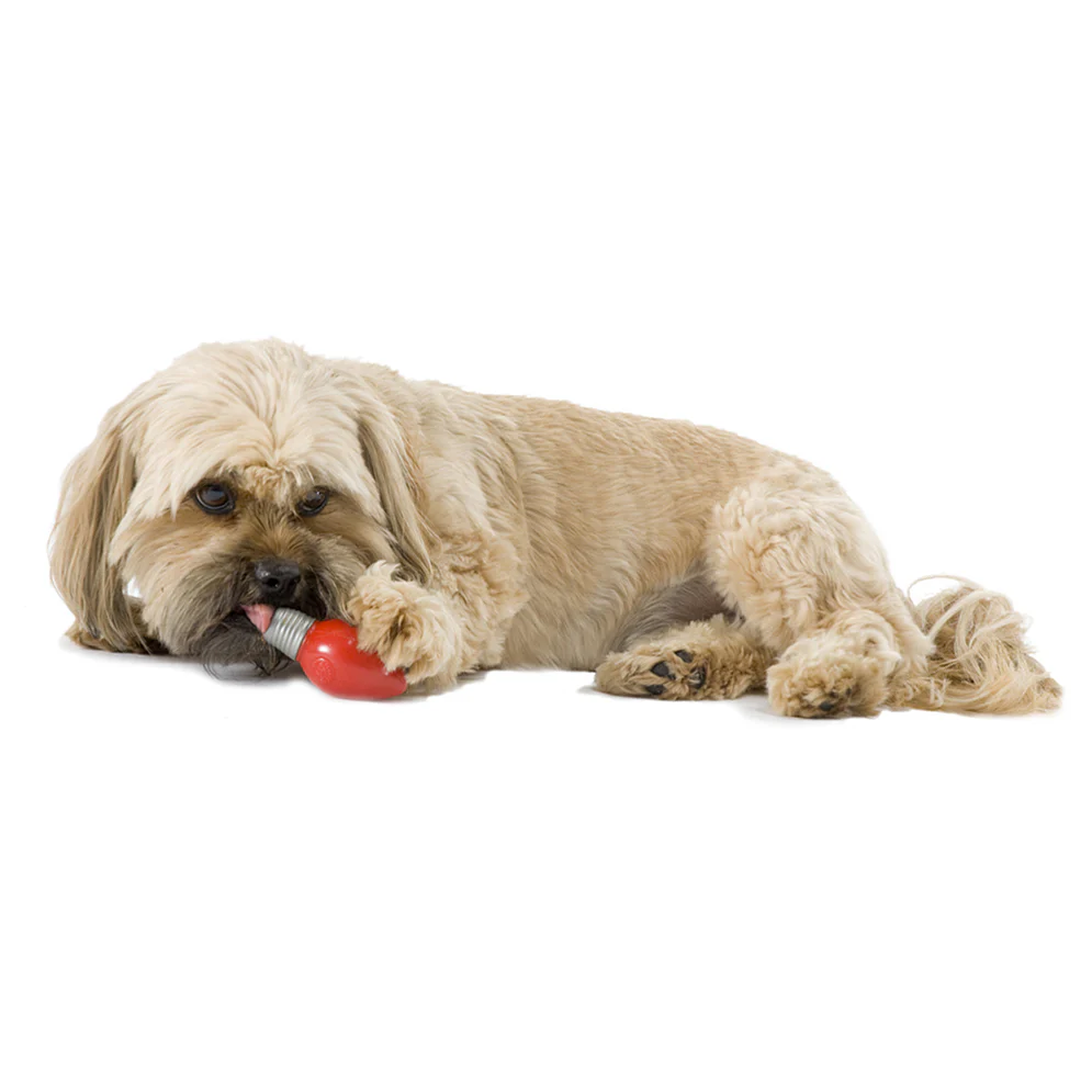 PLANET DOG | Holiday Bulb Toy in Red - Image 2