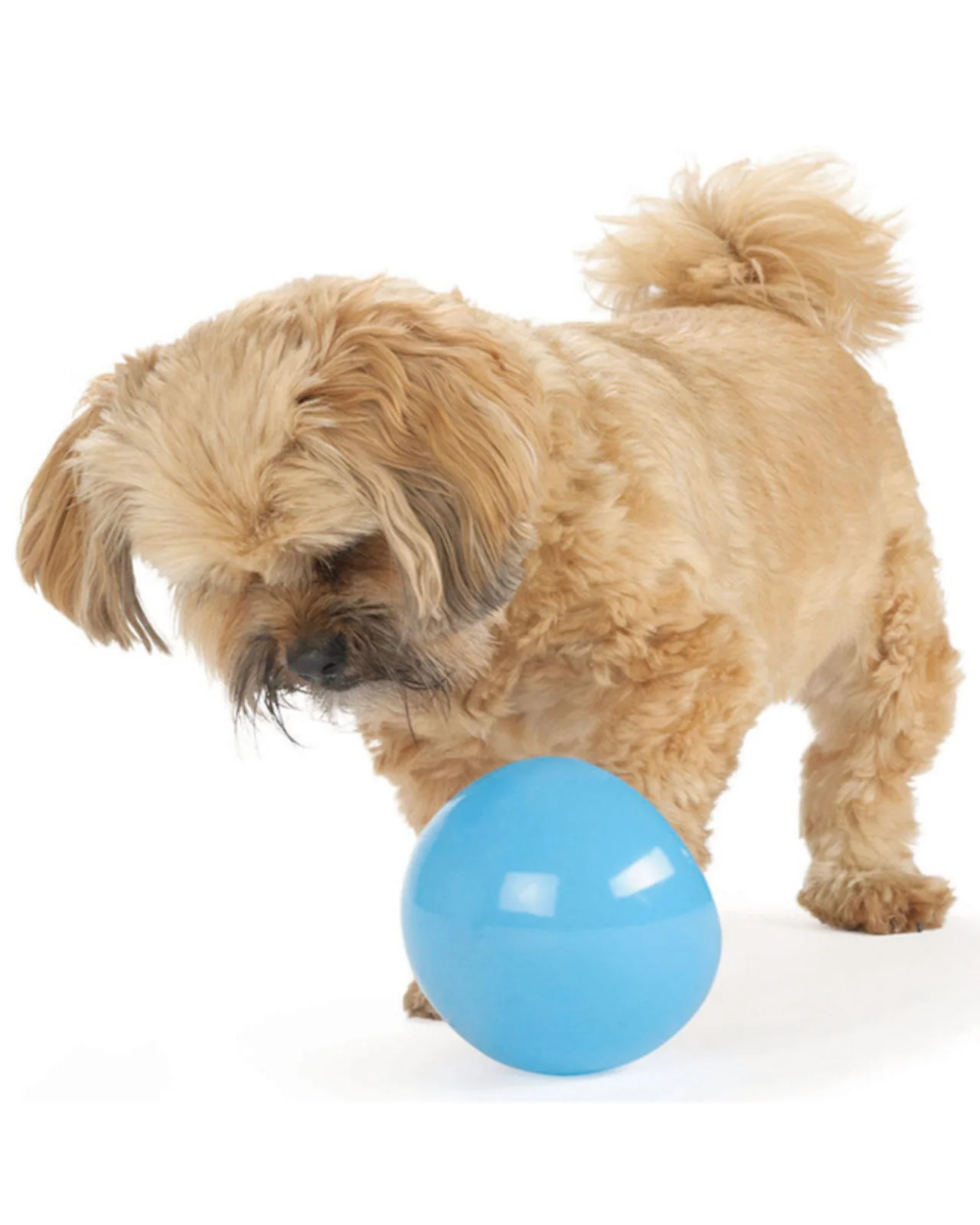 Orbee-Tuff Snoop Interactive 5" Dog Toy (Made in the USA) - Image 6