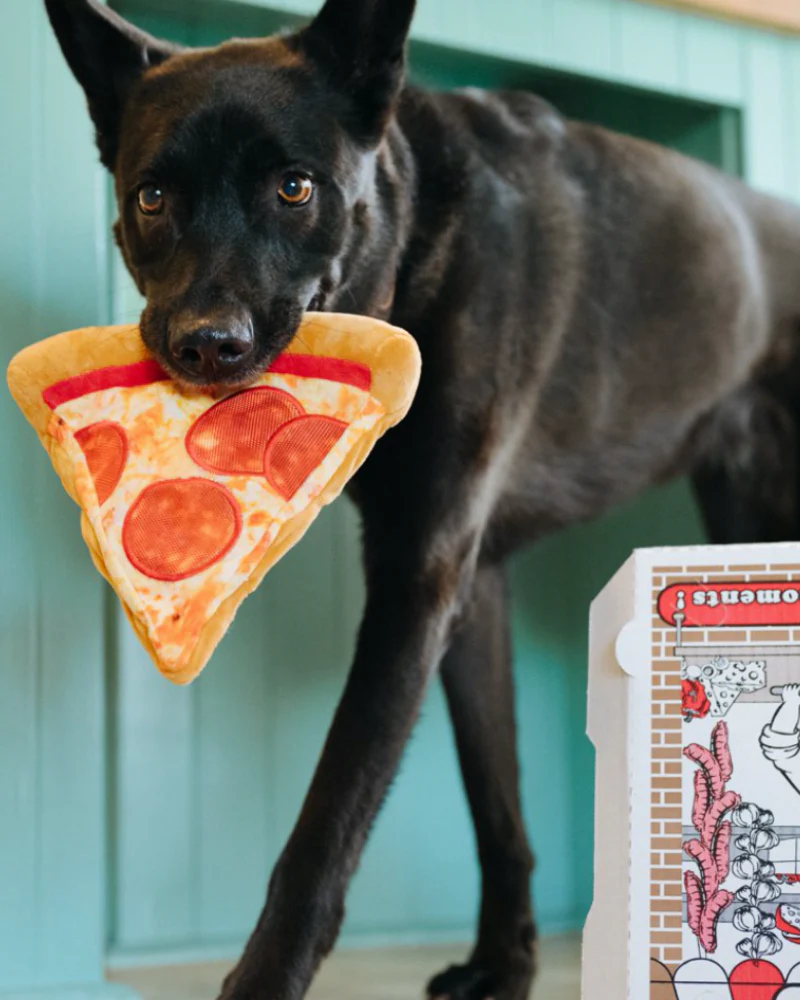 Puppy-Roni Pizza Slice Crinkle & Squeaky Dog Toy - Image 2