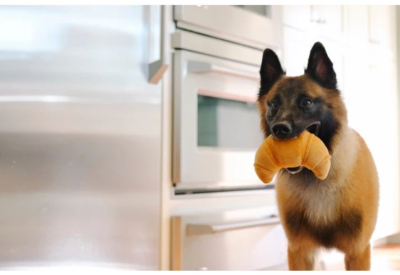 Pup's Pastry Croissant Plush Dog Toy - Image 3