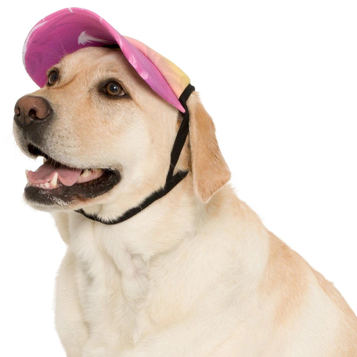 PLAYA PUP | Dog Visor in Palm Tree Pink - Image 3