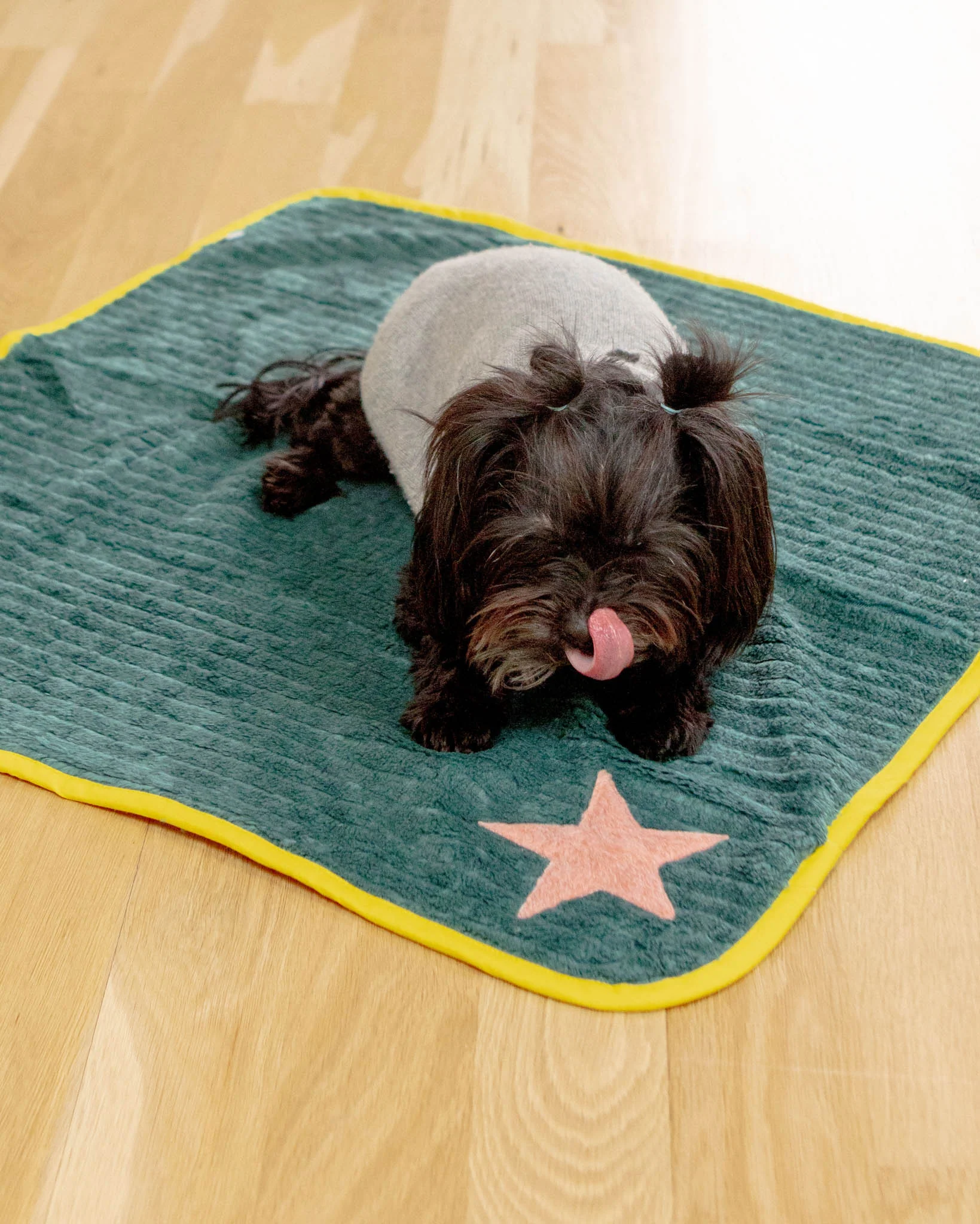 Star Plush Dog Blanket in Green w/ Yellow Trim (Made in Spain) - Image 2