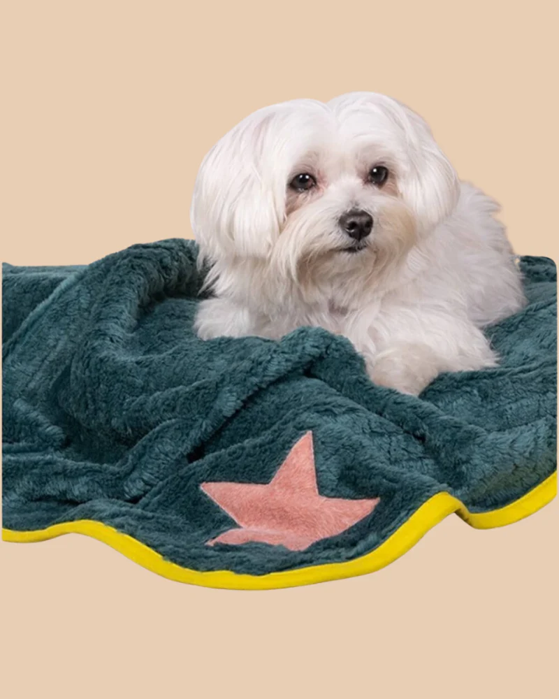Star Plush Dog Blanket in Green w/ Yellow Trim (Made in Spain) - Image 3