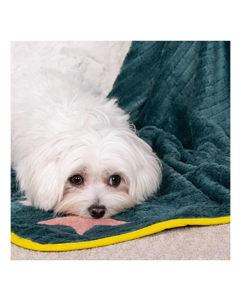 Star Plush Dog Blanket in Green w/ Yellow Trim (Made in Spain) - Image 9