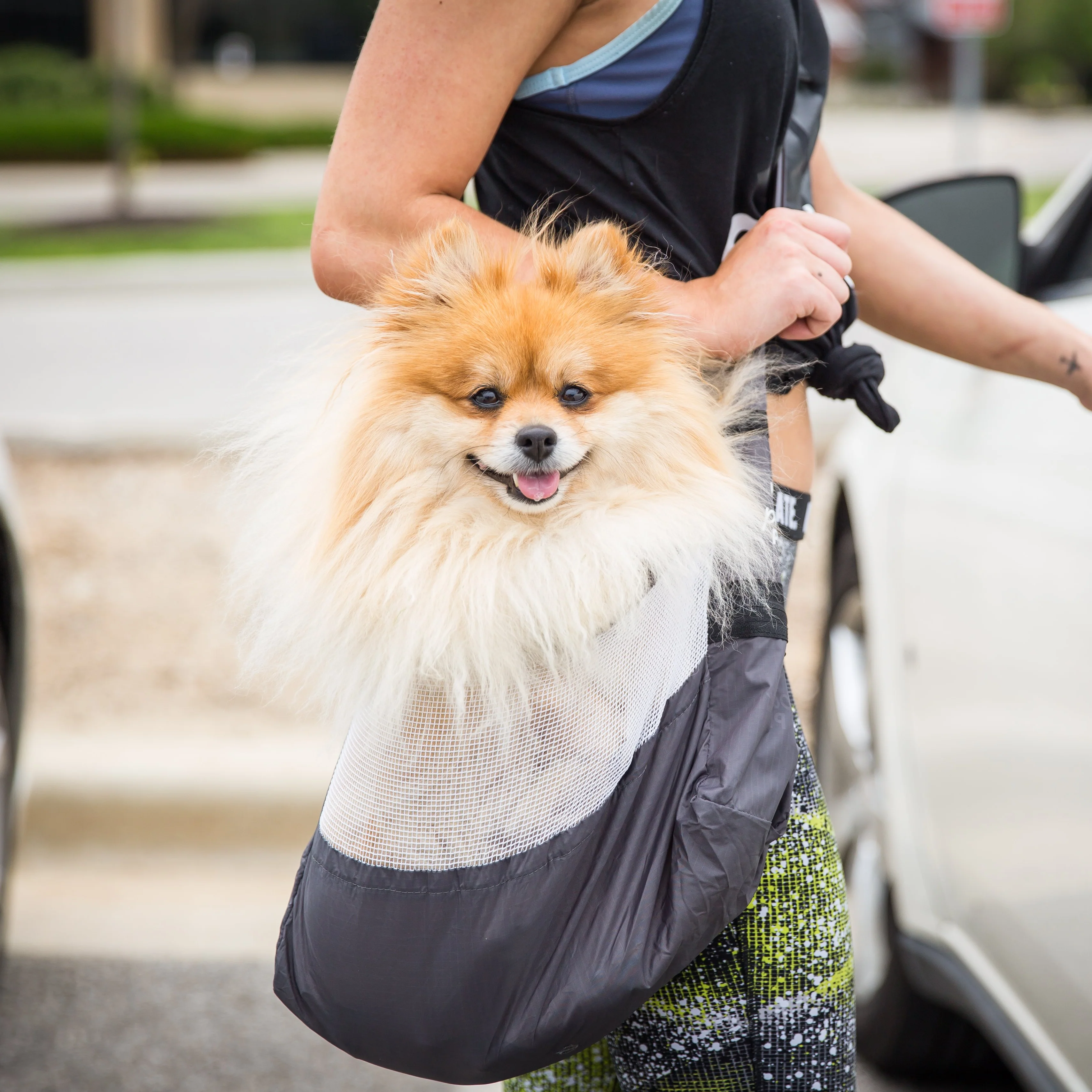 Ultralight Packable Pet Carrier in Black - Image 9
