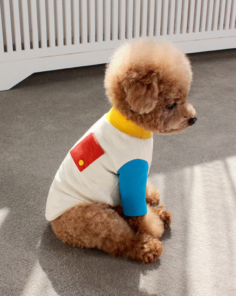 Point Tee for Dogs in Ivory - Image 5