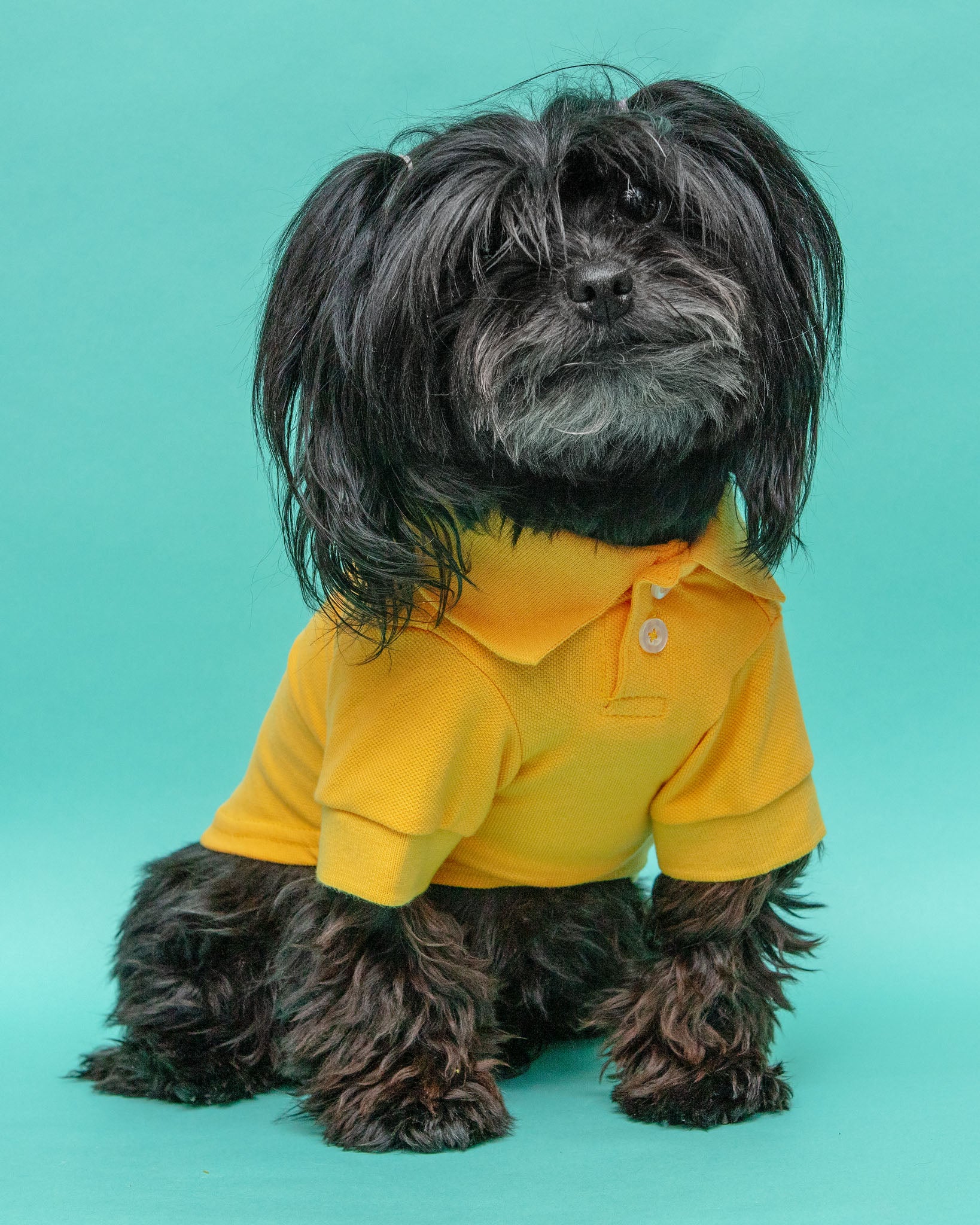Ray of Sunshine Doggie Polo Shirt << FINAL SALE >>