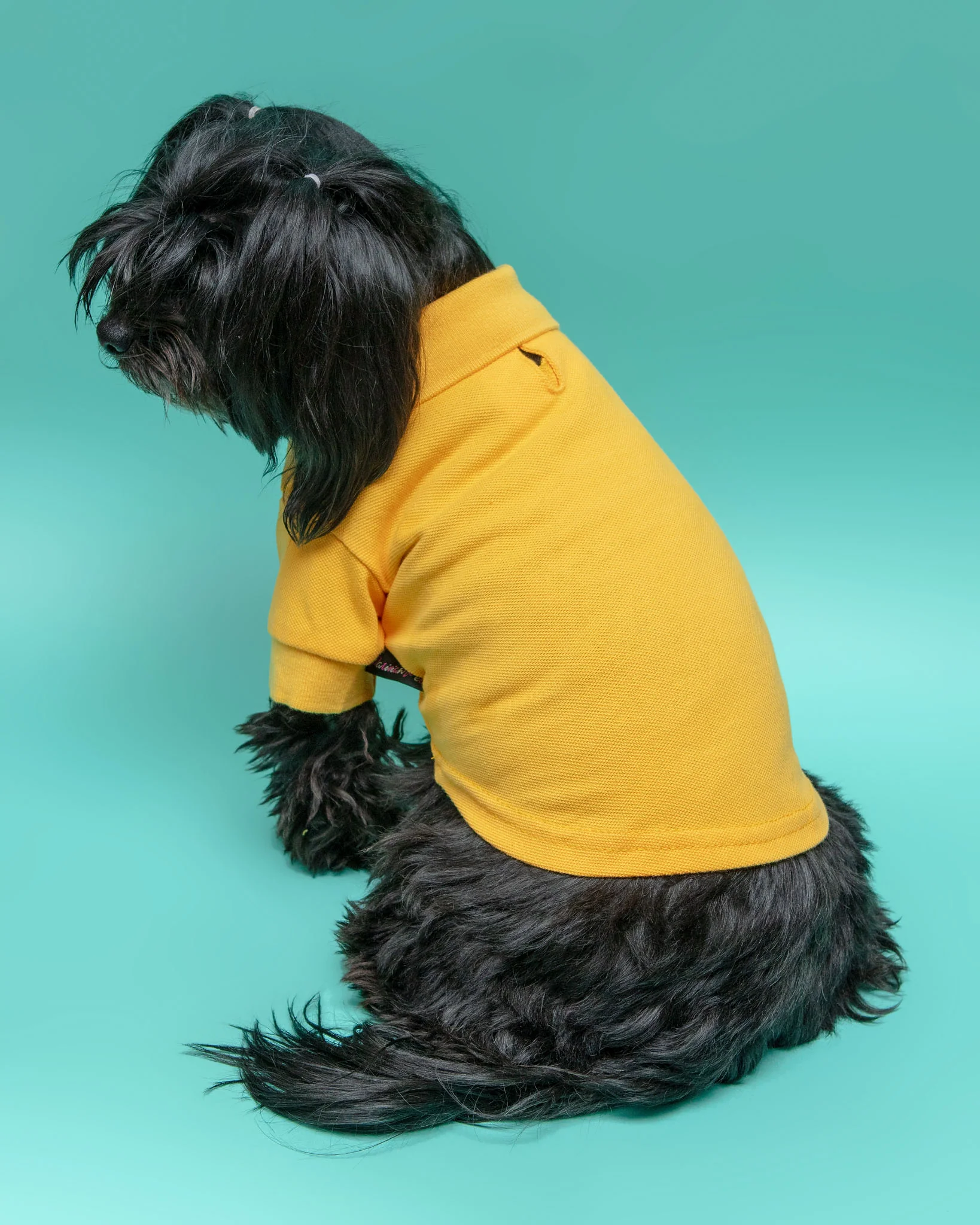Ray of Sunshine Doggie Polo Shirt << FINAL SALE >> - Image 3