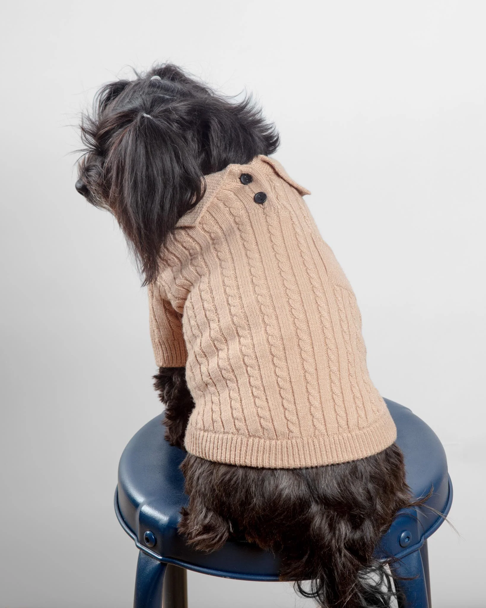 Polo Knit Dog Sweater in Camel - Image 3