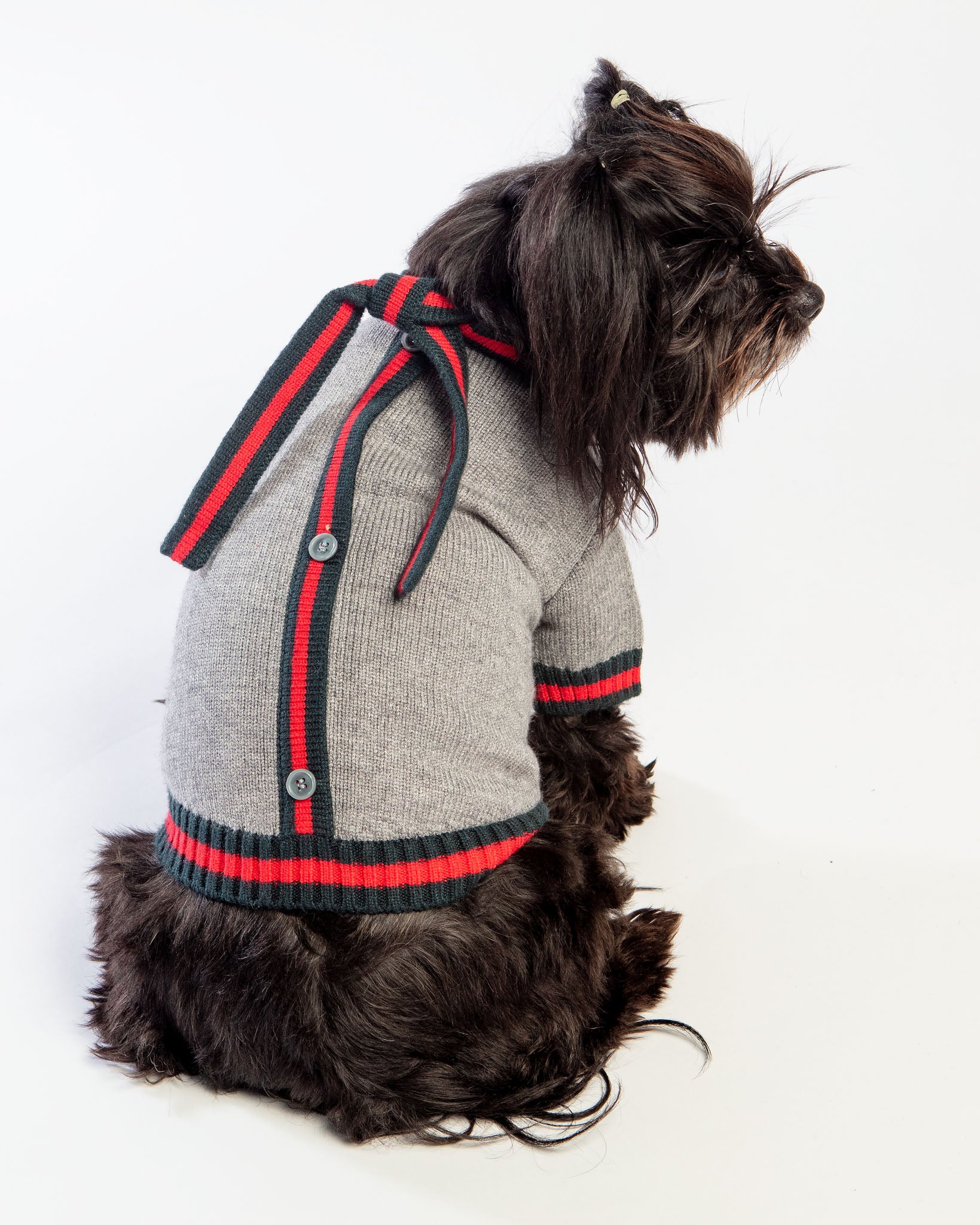 Luxe Stripe Tie Dog Sweater << FINAL SALE >> - Image 3
