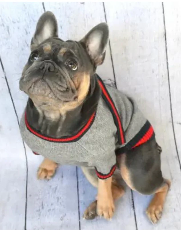 Luxe Stripe Tie Dog Sweater << FINAL SALE >> - Image 8