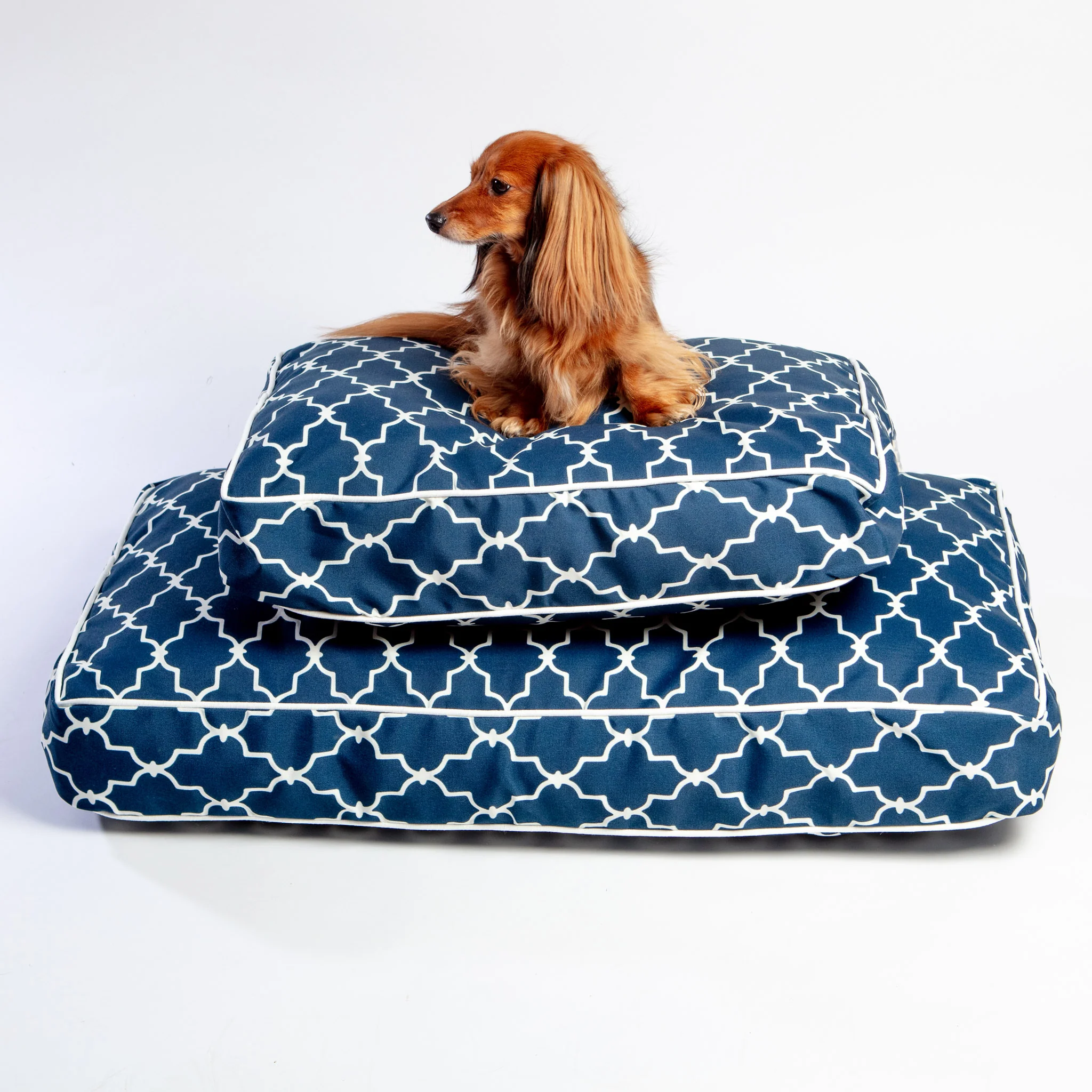 Pool & Patio Outdoor Dog Bed in Garden Gate Navy (Made in the USA) << FINAL SALE >> - Image 3