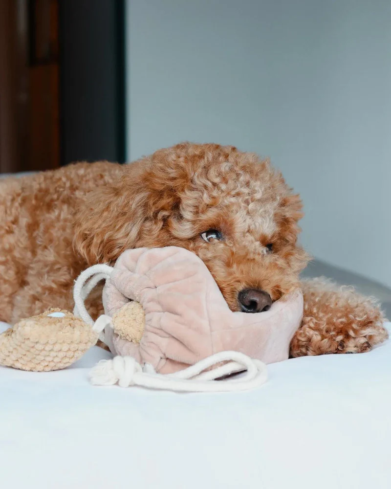 Popcorn Nosework Dog Toy - Image 6