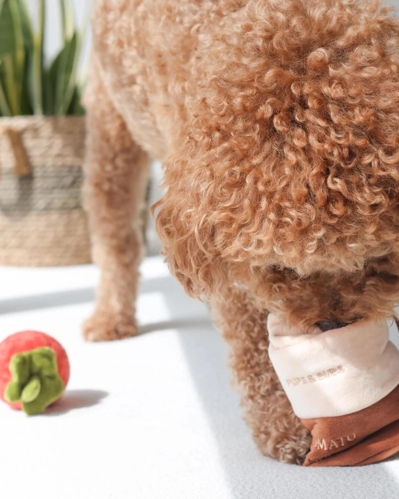 Tomato Soup Nosework Dog Toy - Image 4