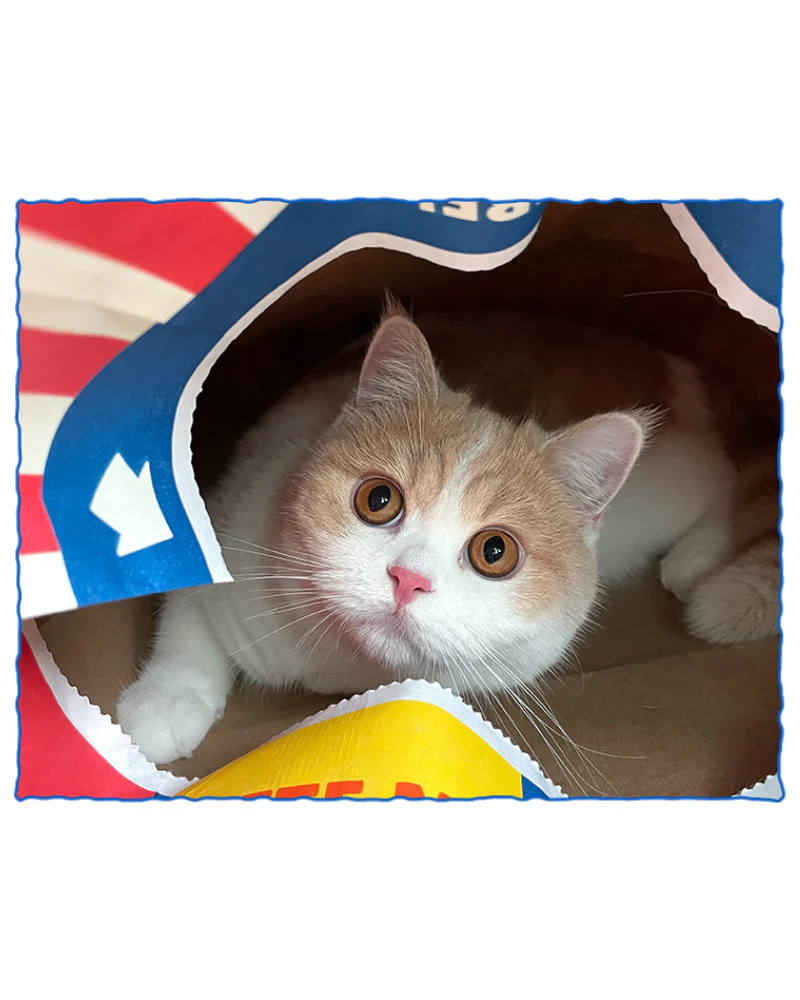 Popcorn Paper Bag Cat Cave Toy - Image 3