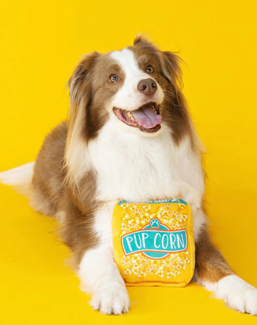 Pupcorn Crinkle + Squeak Plush Dog Toy (FINAL SALE)