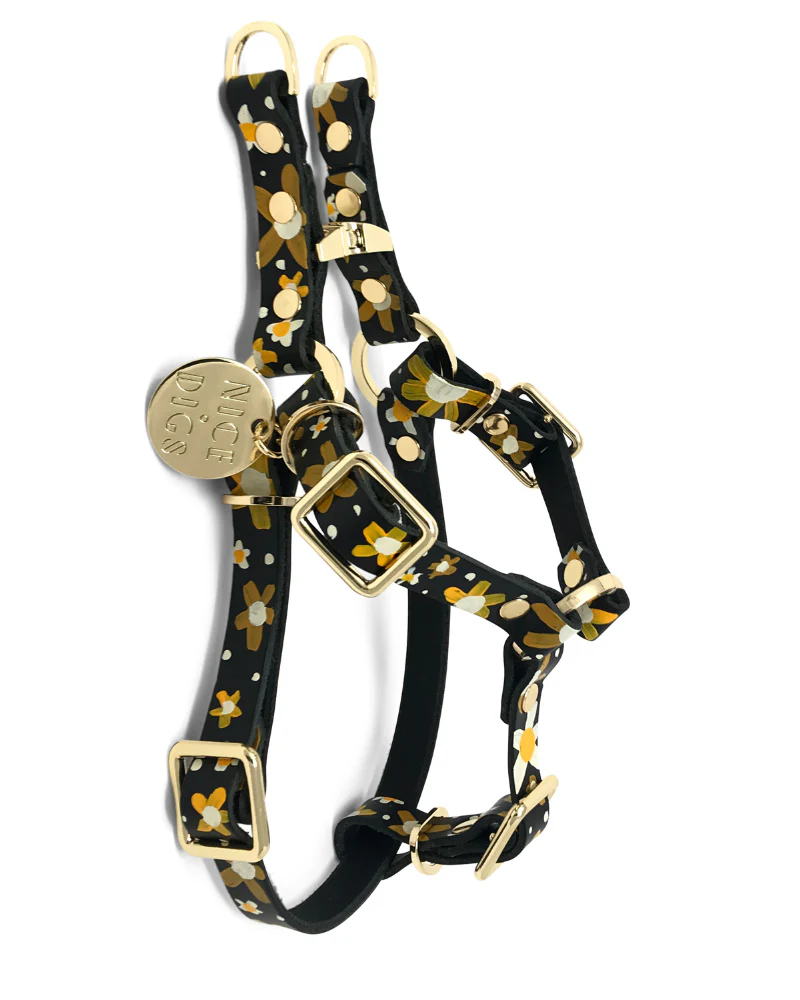 Posie Leather Dog Harness in Sunshine - Image 2