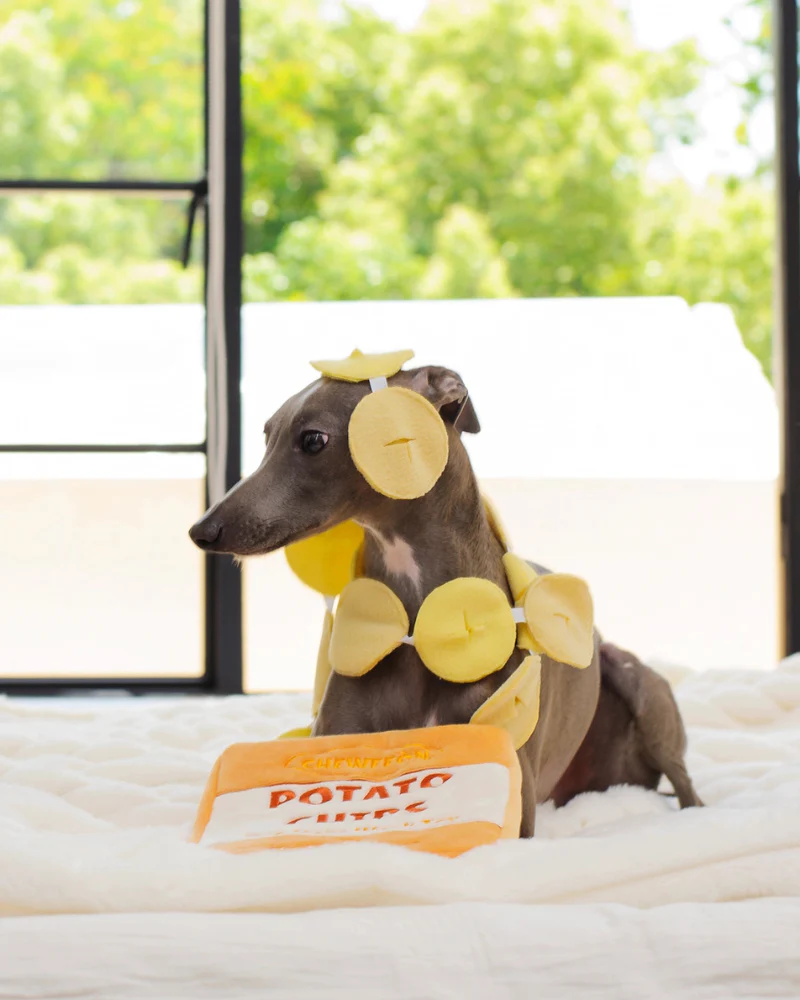 Potato Chips Dog Snuffle Toy - Image 3