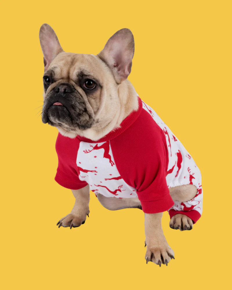 Prancing Reindeers Howliday Pet Pajamas (FINAL SALE) - Image 3