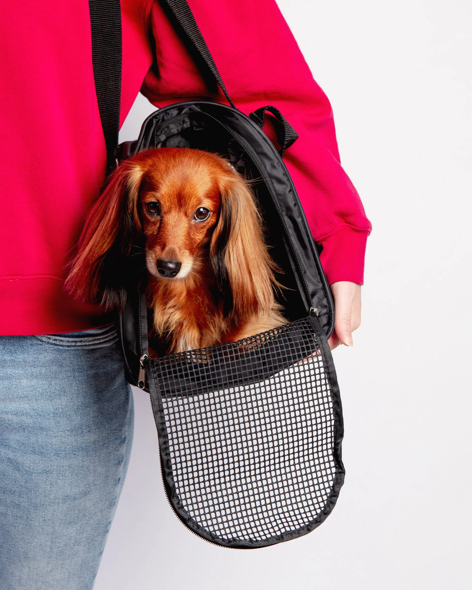 Jet Carrier Pet Carrier in Black (Airline Approved) (FINAL SALE)