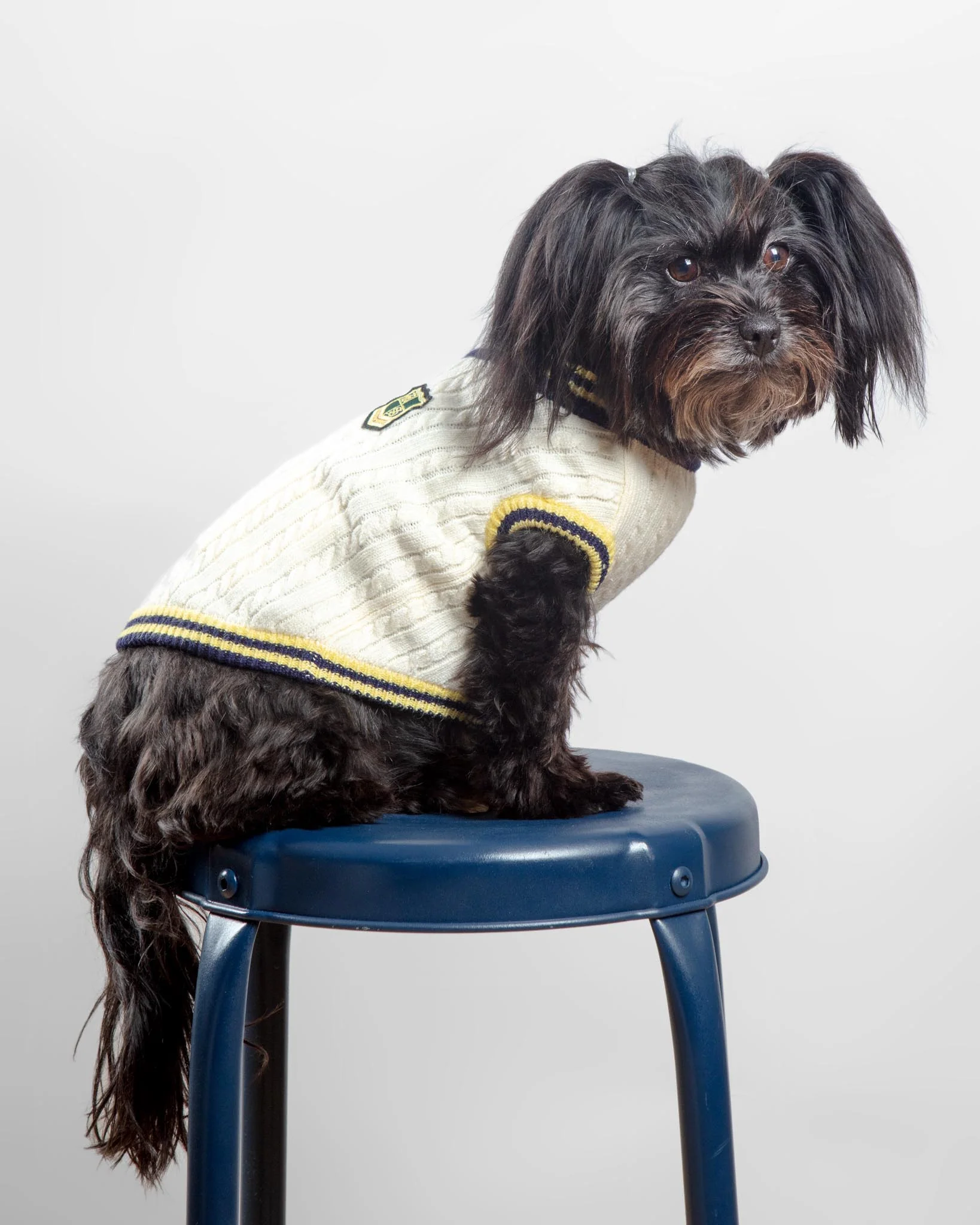 Prep School V-Neck Dog Sweater - Image 2