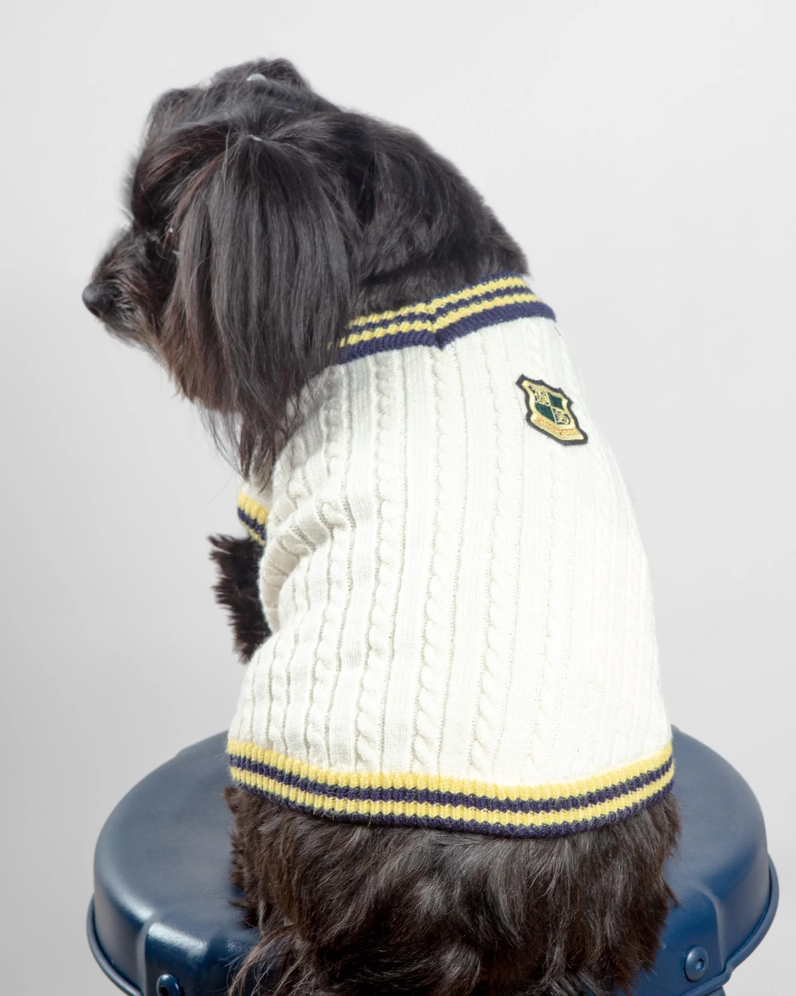Prep School V-Neck Dog Sweater - Image 4