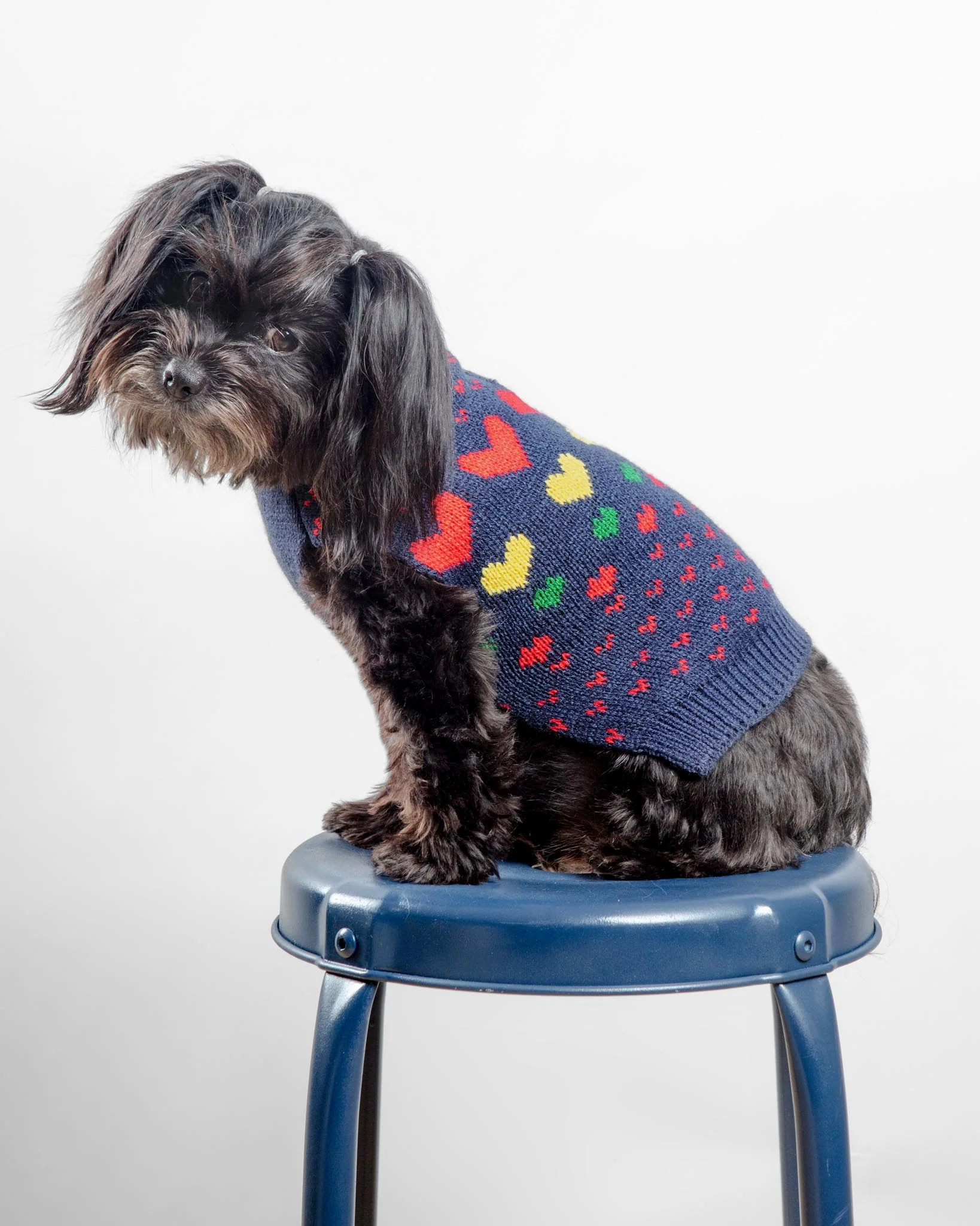 Preppy Heart Dog Sweater (FINAL SALE) - Image 2
