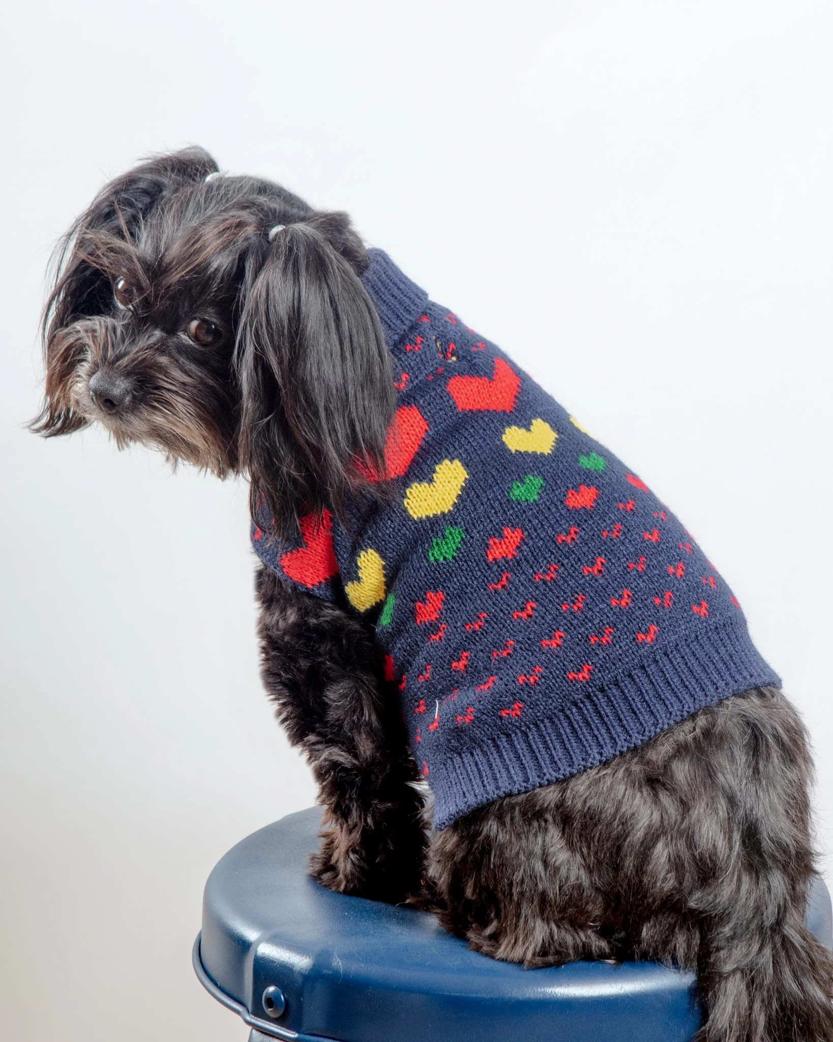 Preppy Heart Dog Sweater (FINAL SALE) - Image 3