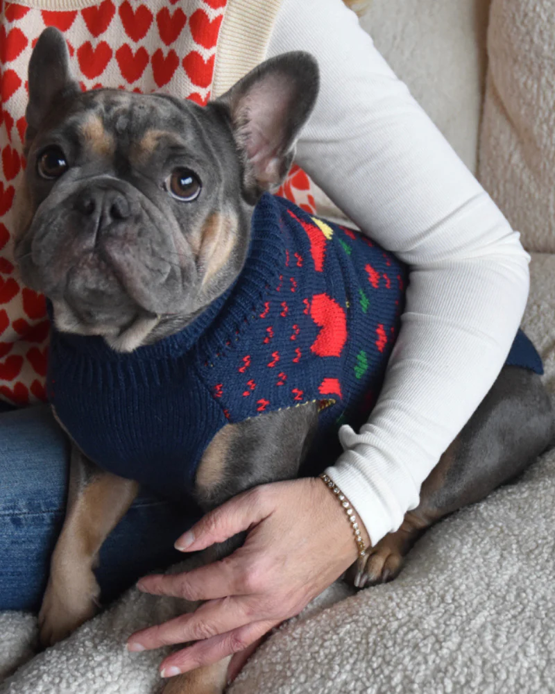 Preppy Heart Dog Sweater (FINAL SALE) - Image 5