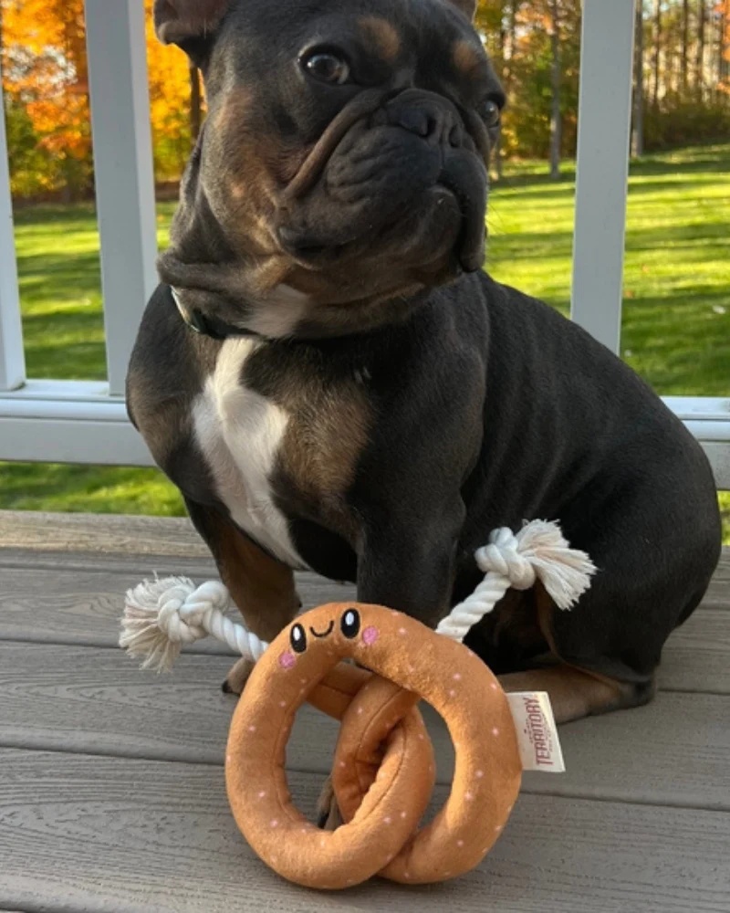 Pretzel Rope Tug Dog Toy - Image 4