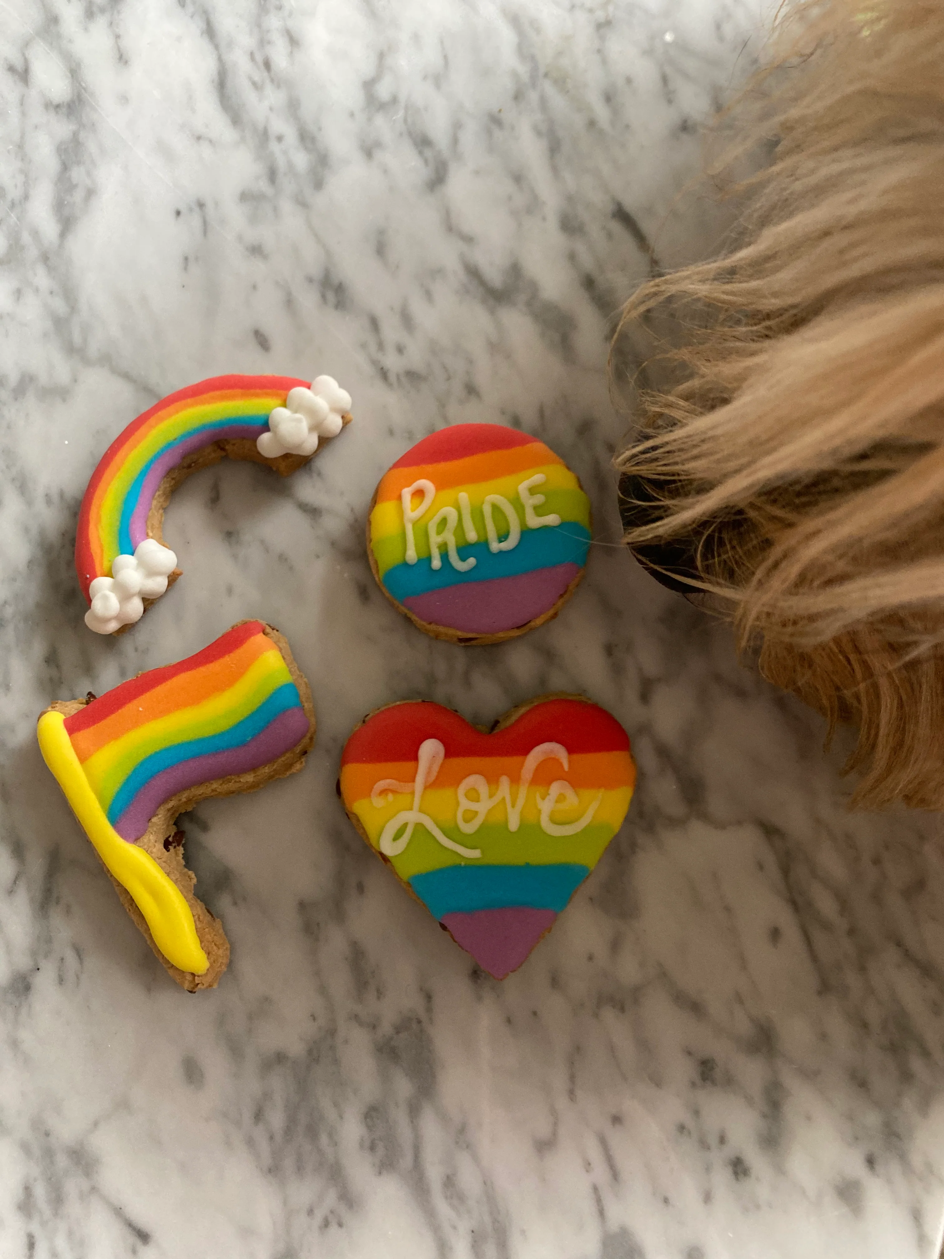 Pride Dog Cookie Gift Pack - Image 5