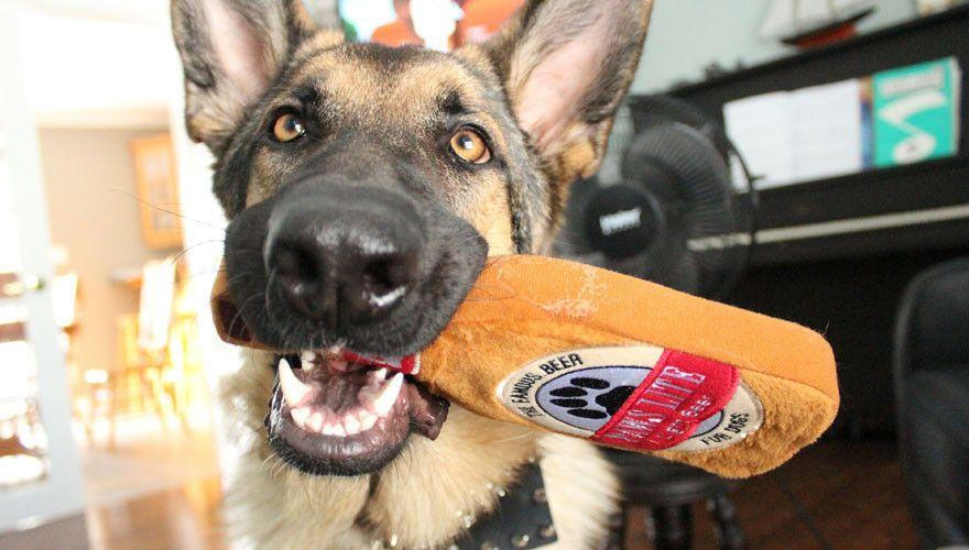 PRIDEBITES | Paws Lite Beer Dog Toy - Image 4