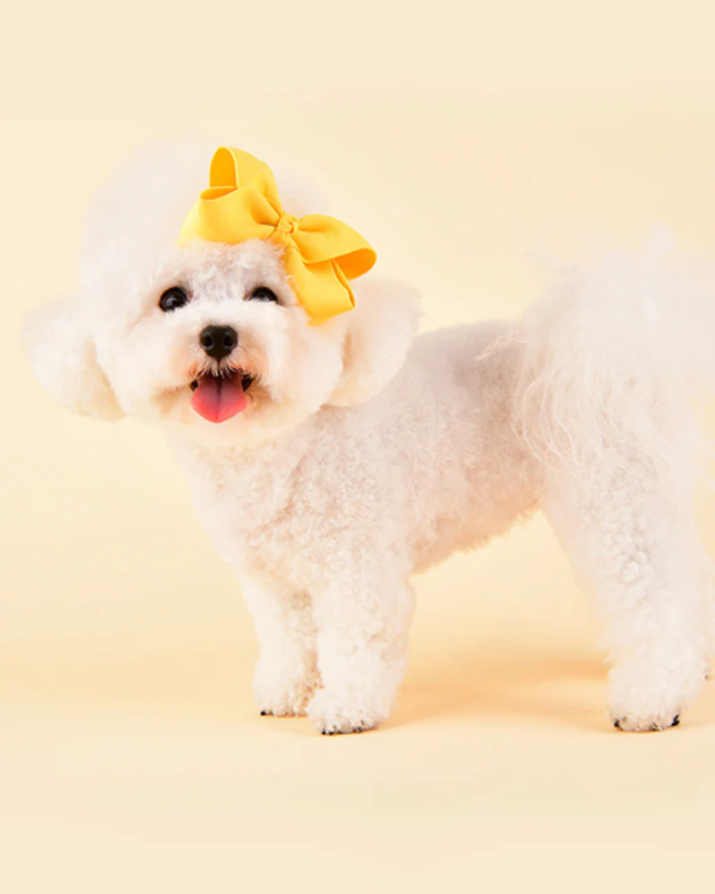 Princess Ribbon Dog Hair Bow