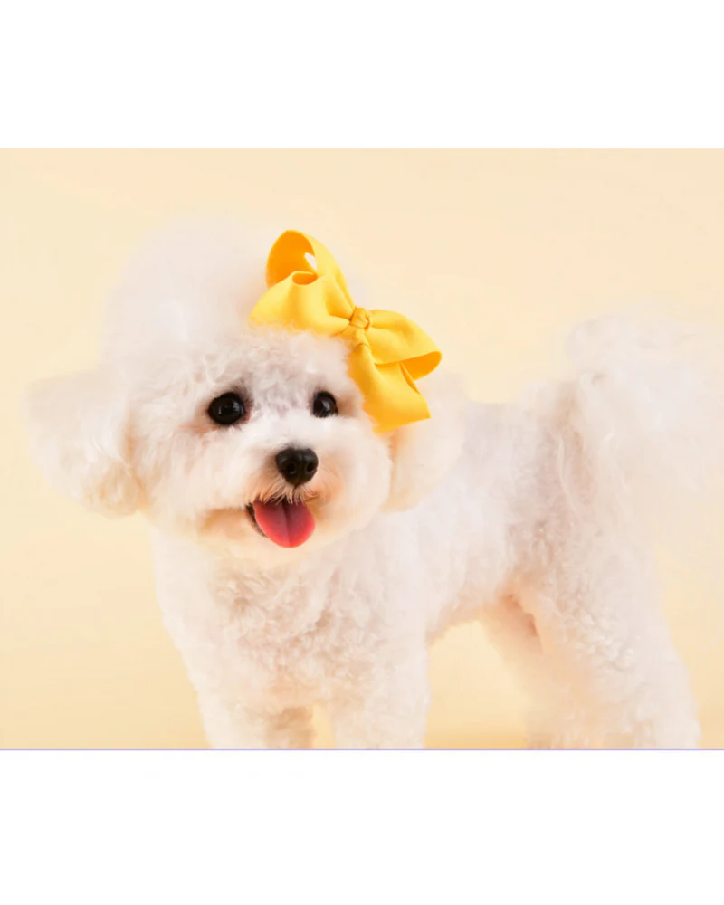 Princess Ribbon Dog Hair Bow - Image 3