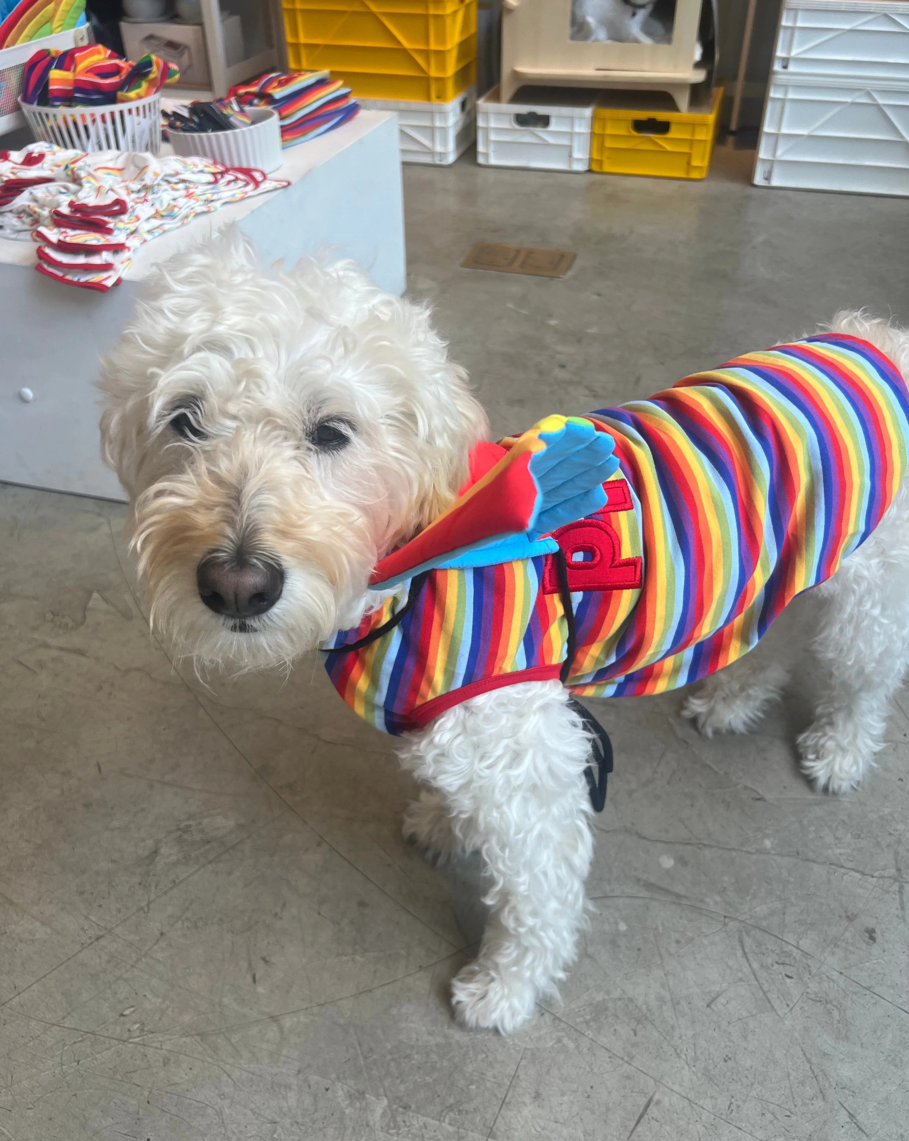 Proud Dog Rainbow Stripe Tank Top (FINAL SALE) - Image 2