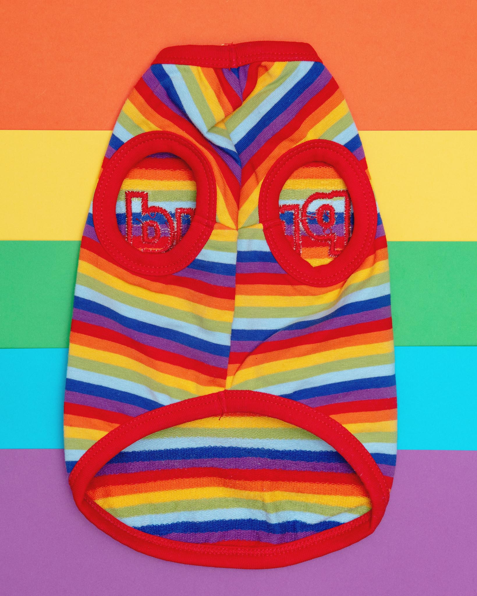 Proud Dog Rainbow Stripe Tank Top (FINAL SALE) - Image 4