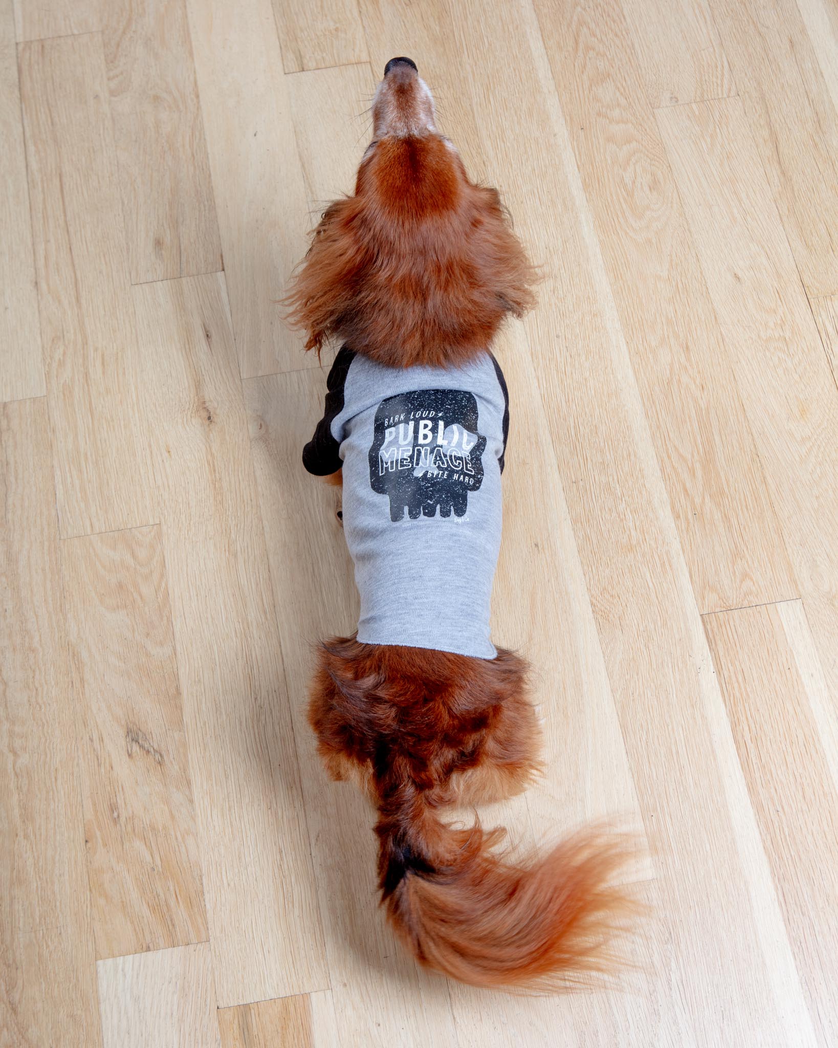 *Public Menace* Graphic Dog T-Shirt (FINAL SALE) - Image 2