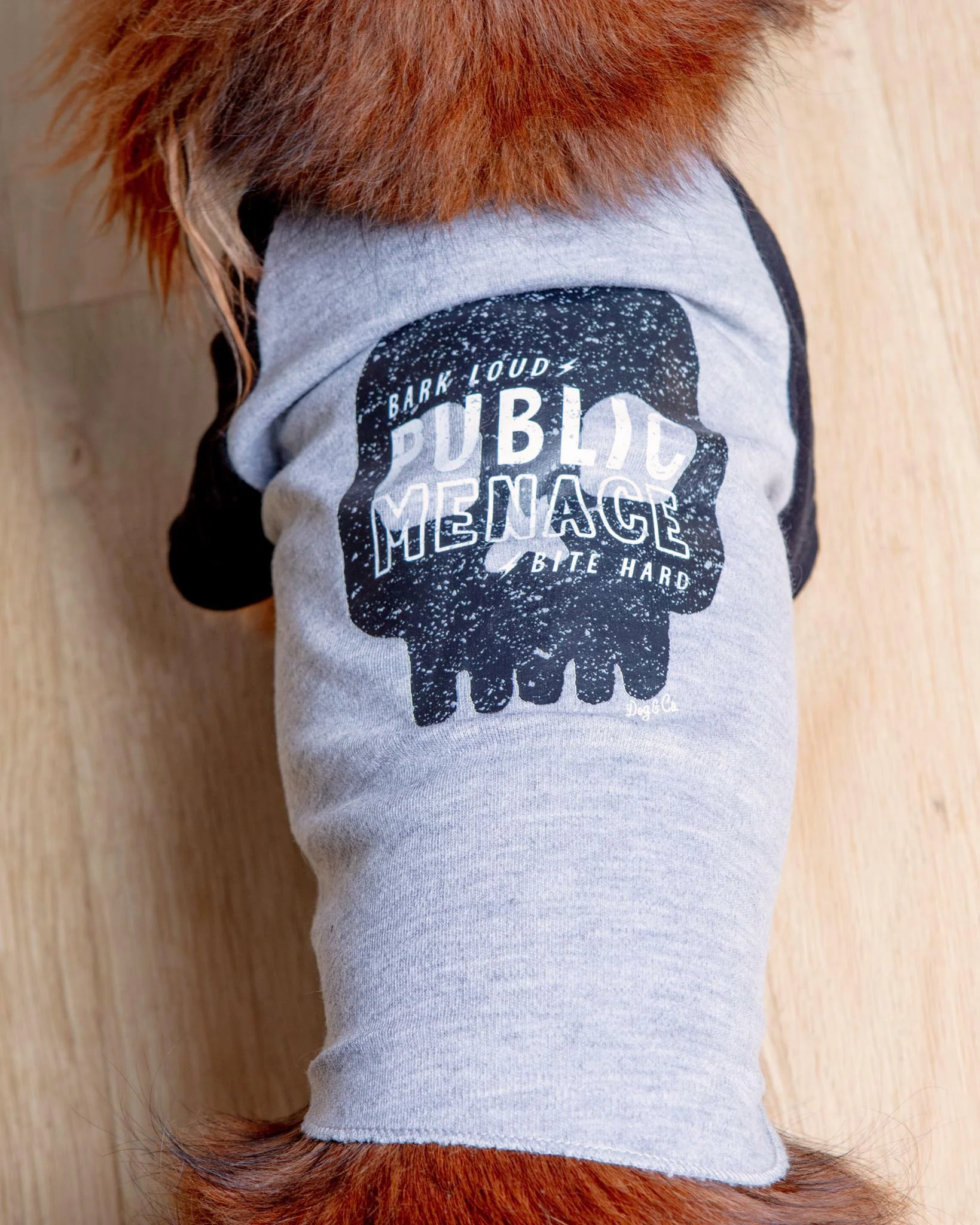 *Public Menace* Graphic Dog T-Shirt (FINAL SALE) - Image 3