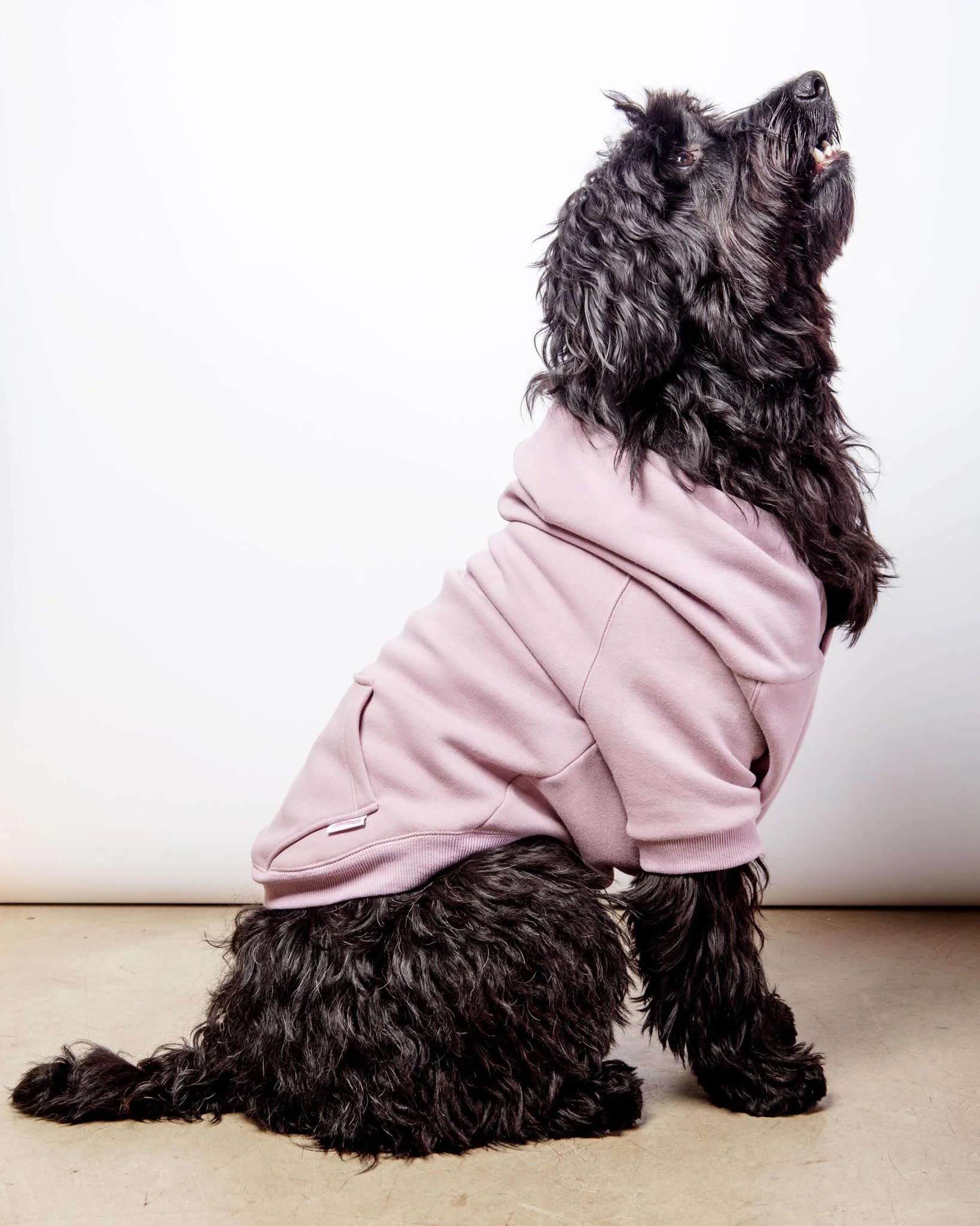 Pullover Dog Hoodie in Lavender (FINAL SALE) - Image 2