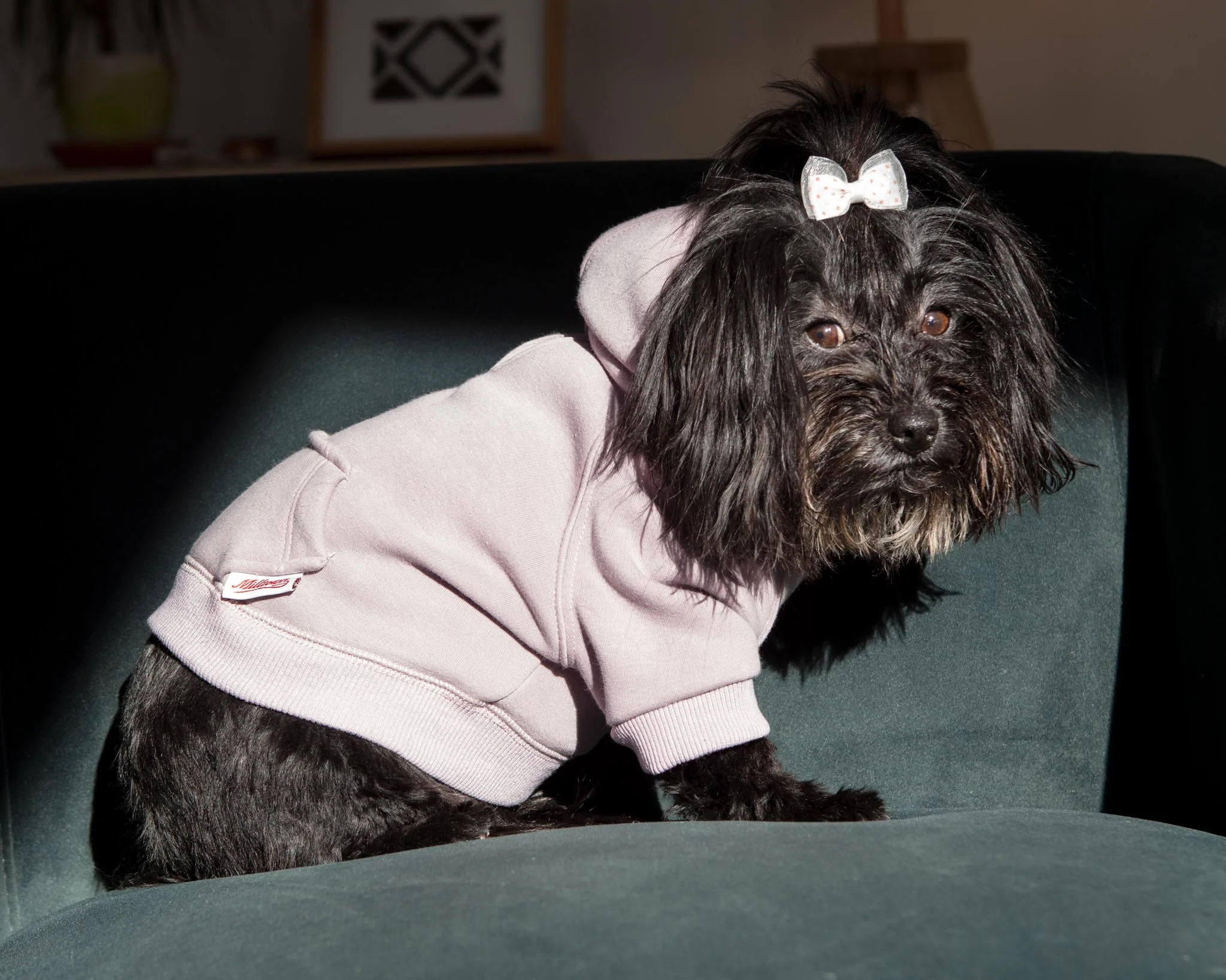 Pullover Dog Hoodie in Lavender (FINAL SALE) - Image 4