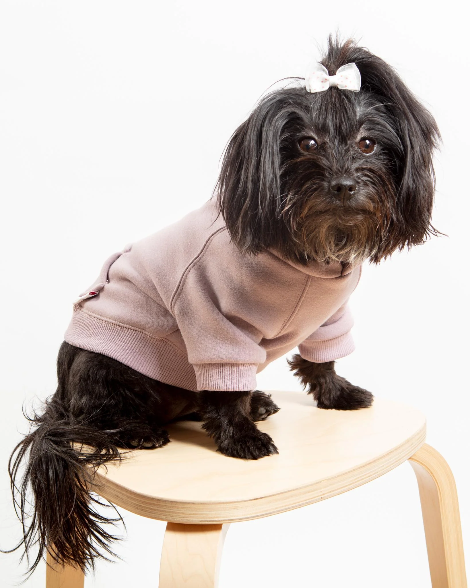 Pullover Dog Hoodie in Lavender (FINAL SALE) - Image 5