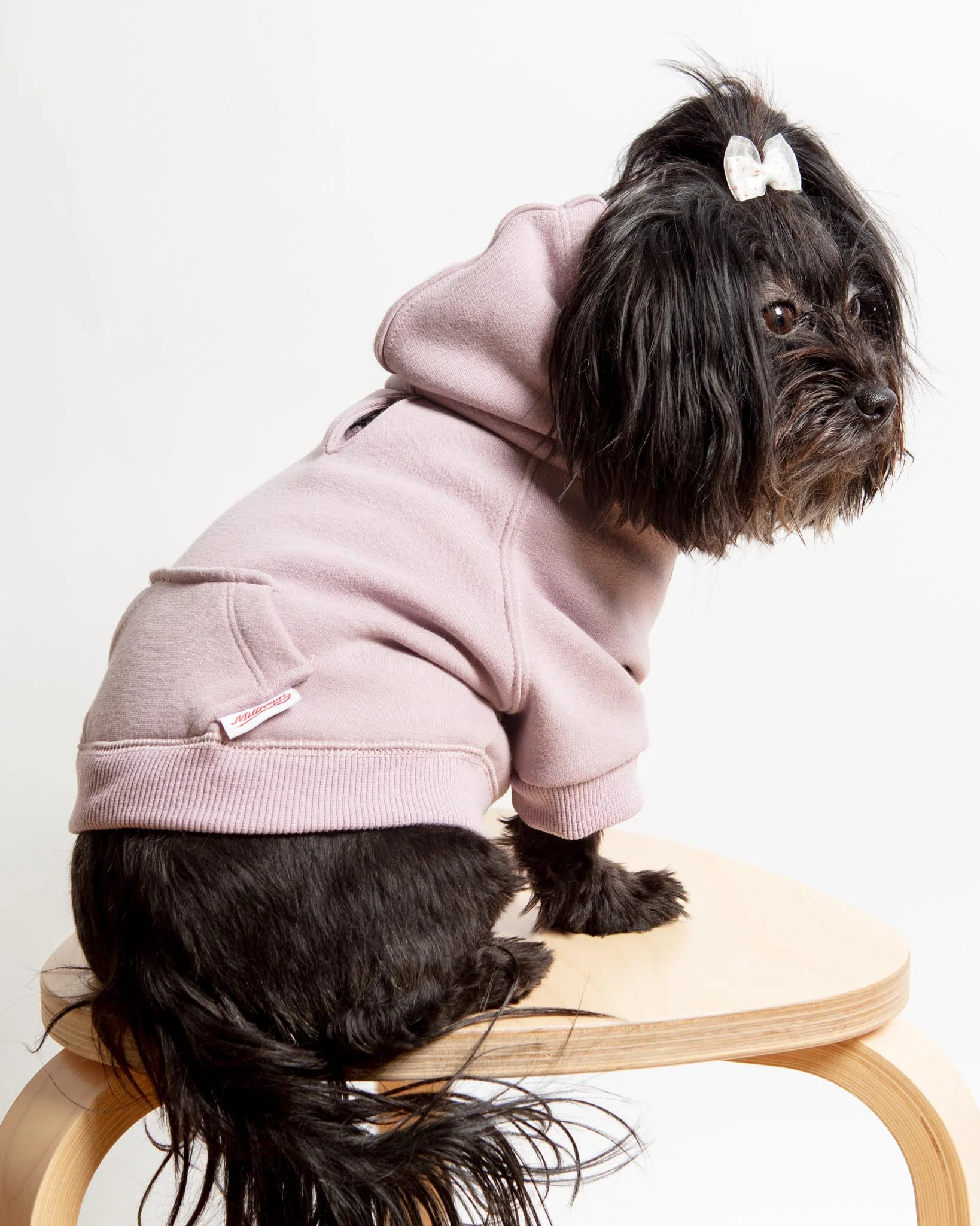 Pullover Dog Hoodie in Lavender (FINAL SALE) - Image 6