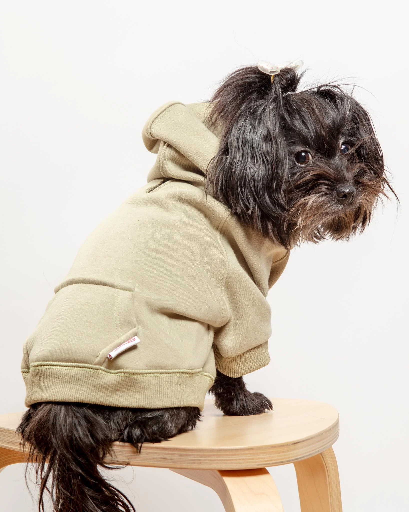 Pullover Dog Hoodie in Sage (FINAL SALE) - Image 2