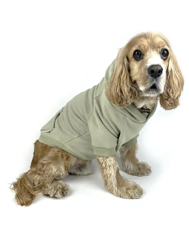 Pullover Dog Hoodie in Sage (FINAL SALE) - Image 4
