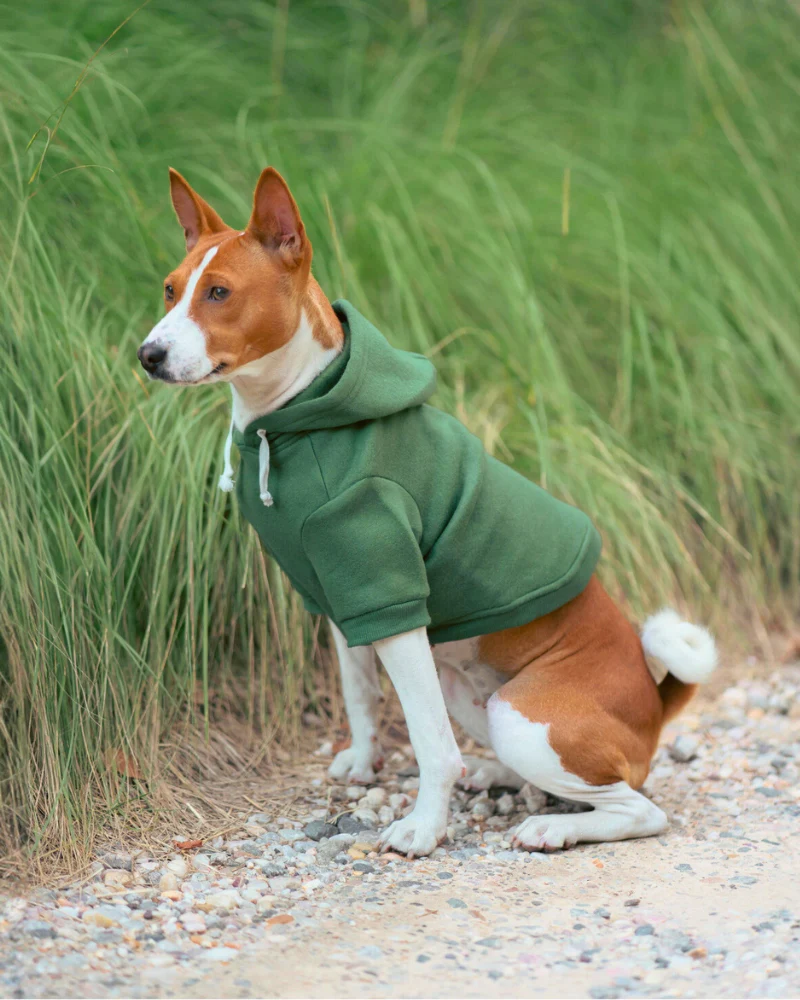 Pullover Dog Hoodie in Green - Image 3