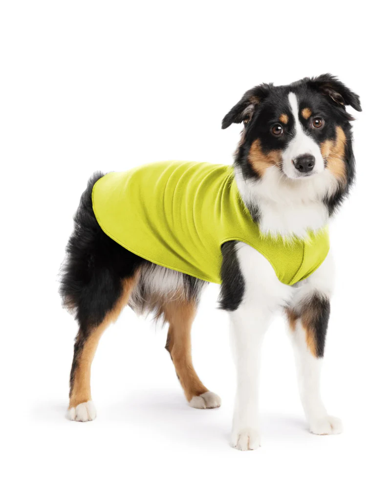 Pullover Stretch Dog Fleece in Avocado - Image 4