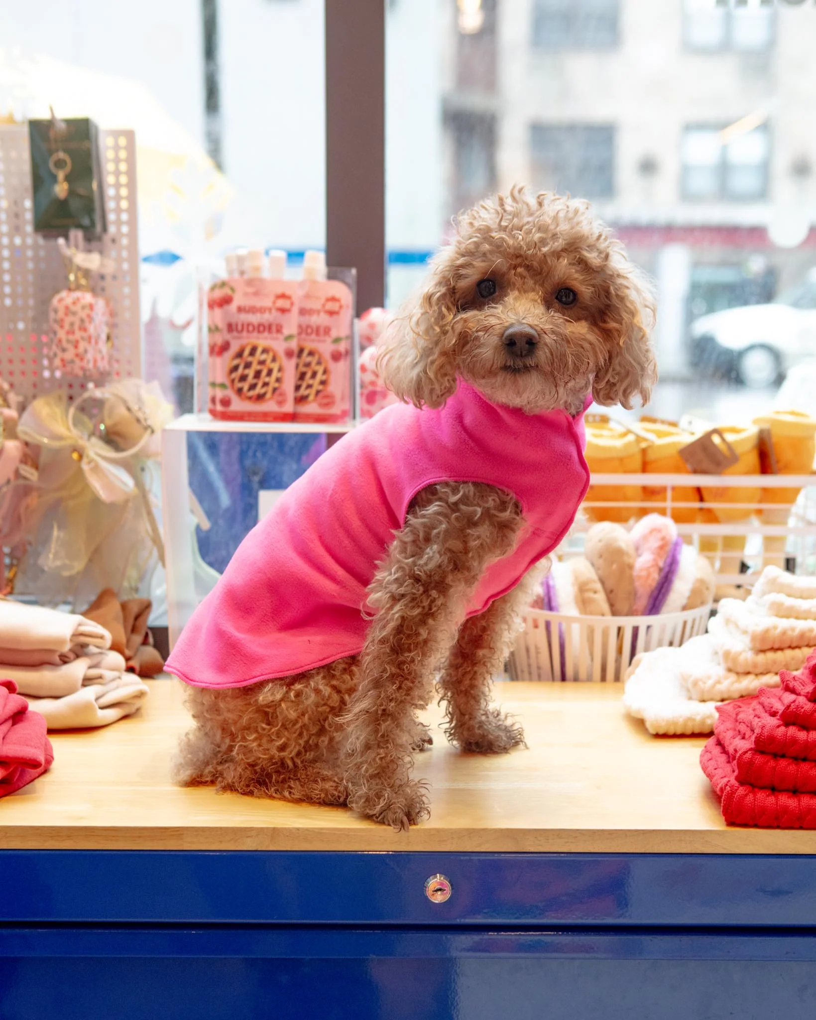 Pullover Stretch Dog Fleece in Neon Pink (Made in the USA)