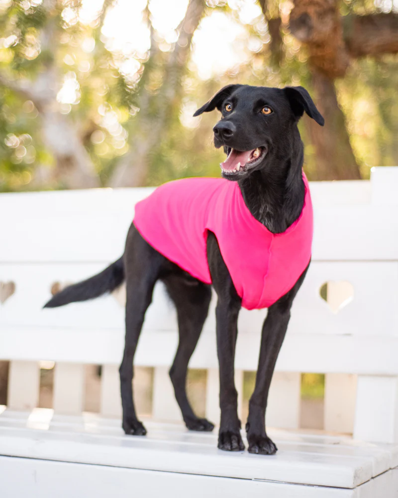 Pullover Stretch Dog Fleece in Neon Pink (Made in the USA) - Image 3