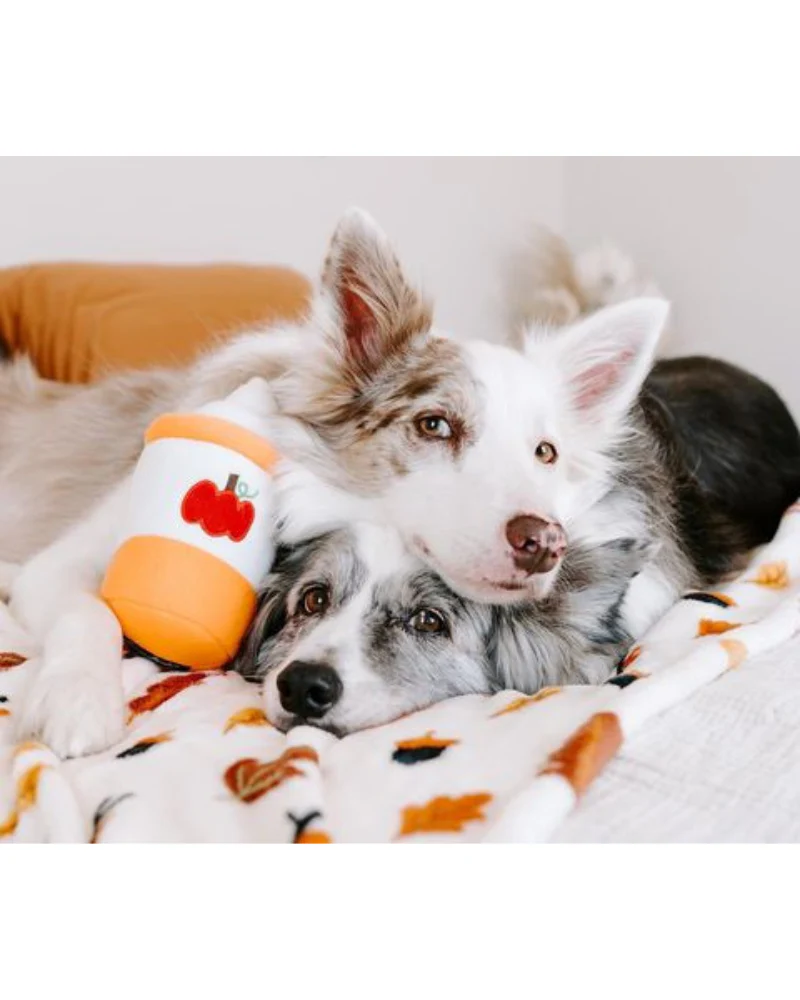 Pumpkin Spice Latte Plush Dog Toy (FINAL SALE) - Image 2